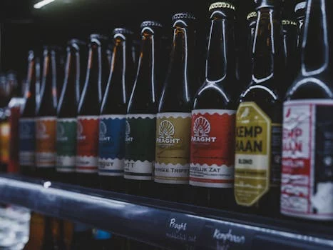 craft beer bottles selection